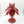 Tyrannocyte