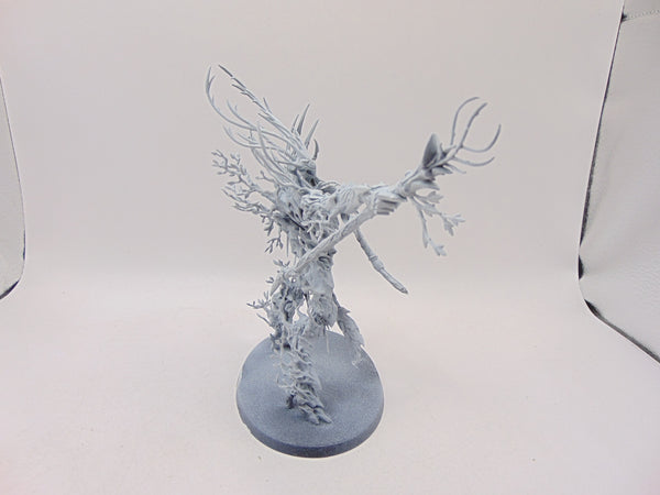 Treelord Ancient