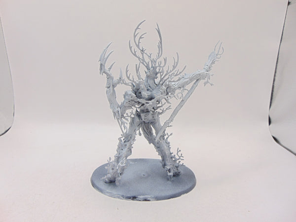 Treelord Ancient