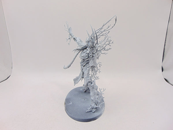 Treelord Ancient
