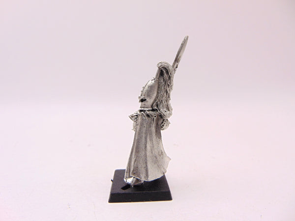 Swordmaster Champion