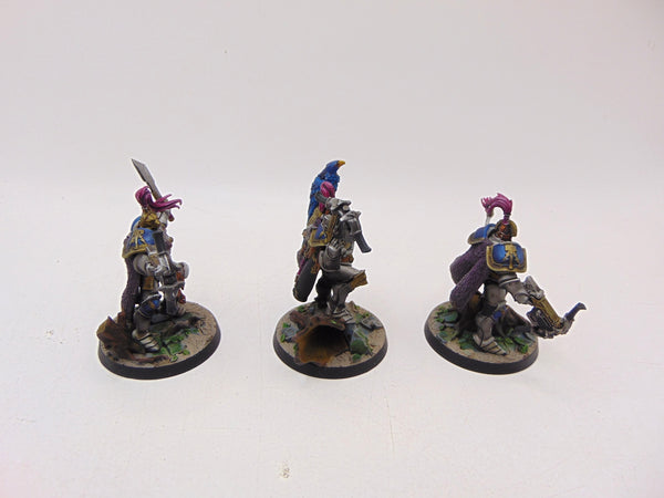 The Farstriders
