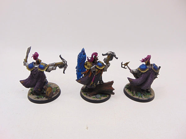 The Farstriders