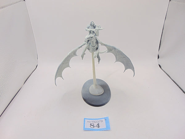 Stormdrake Guard