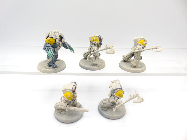 Wolf Guard Terminators