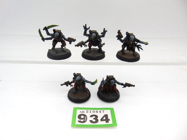 Acolyte Hybrids