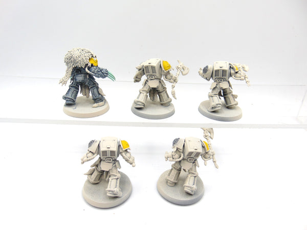 Wolf Guard Terminators
