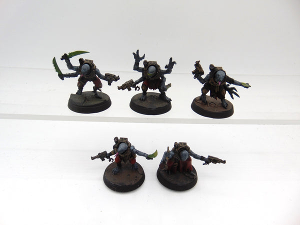 Acolyte Hybrids