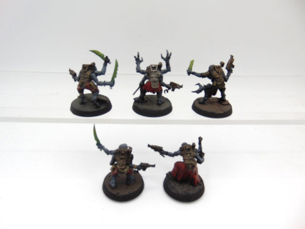 Acolyte Hybrids