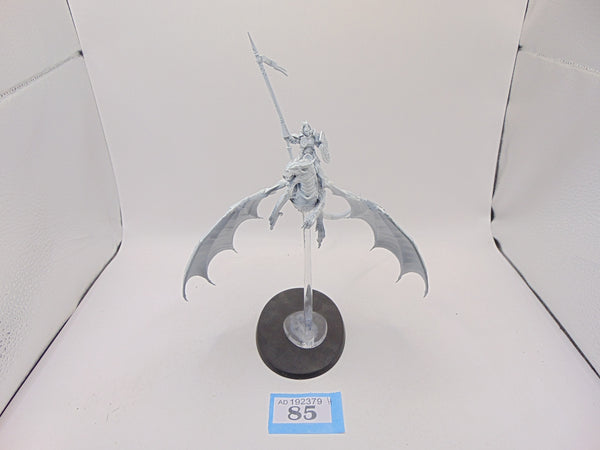 Stormdrake Guard