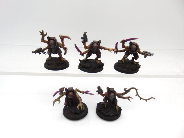 Acolyte Hybrids