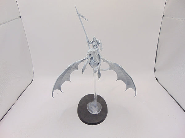 Stormdrake Guard