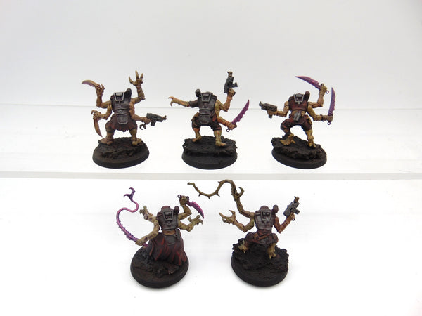Acolyte Hybrids