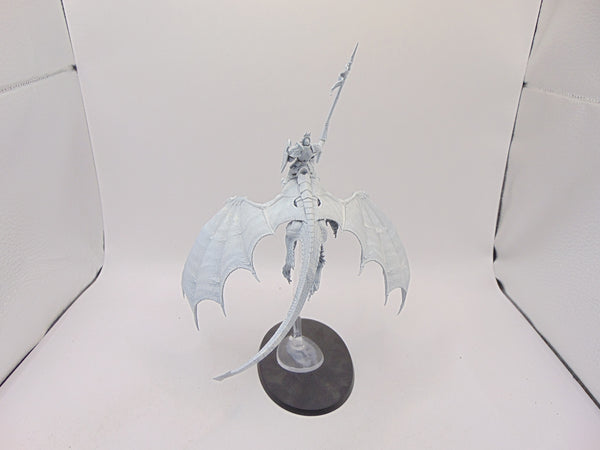 Stormdrake Guard