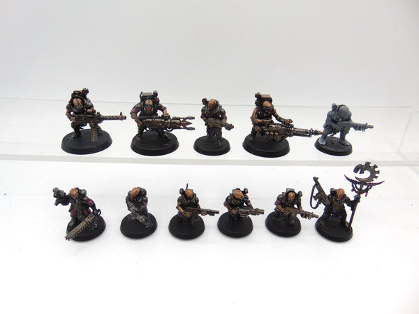 Neophyte Hybrids