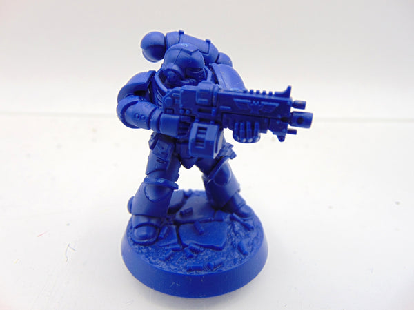 Brother Vignius