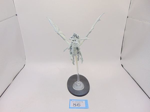 Stormdrake Guard