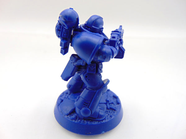 Brother Vignius