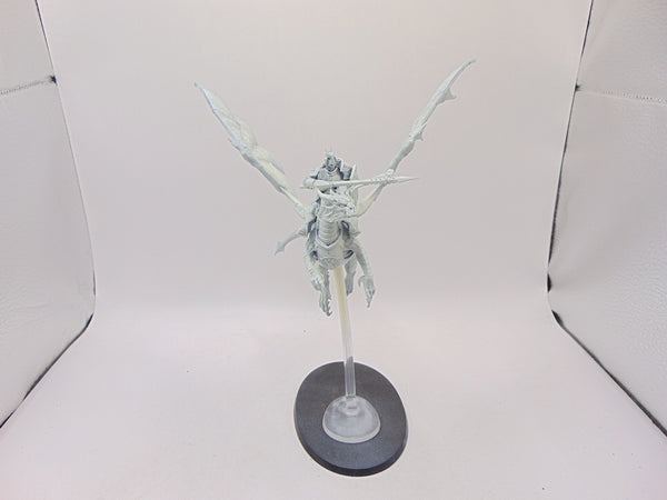 Stormdrake Guard