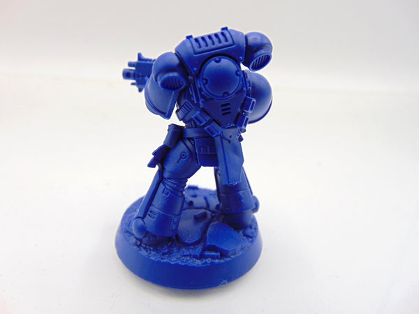 Brother Vignius