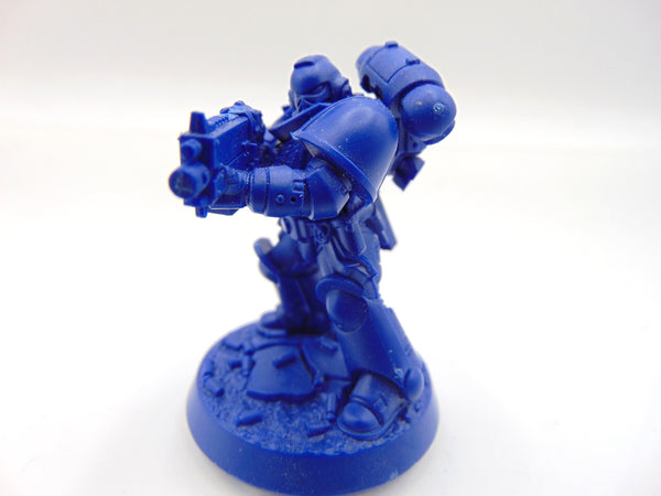 Brother Vignius