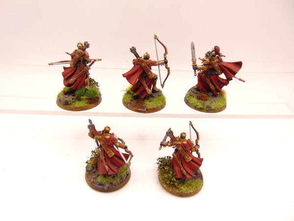 Vigilors