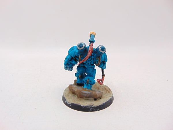 Einhyr Champion