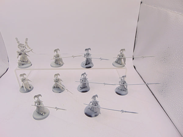 Vanari Auralan Wardens