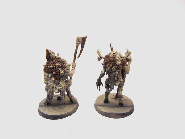 Cankerborn