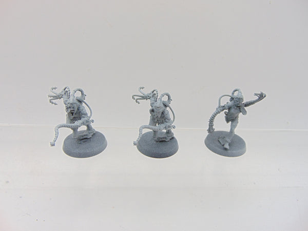 Arco Flagellants