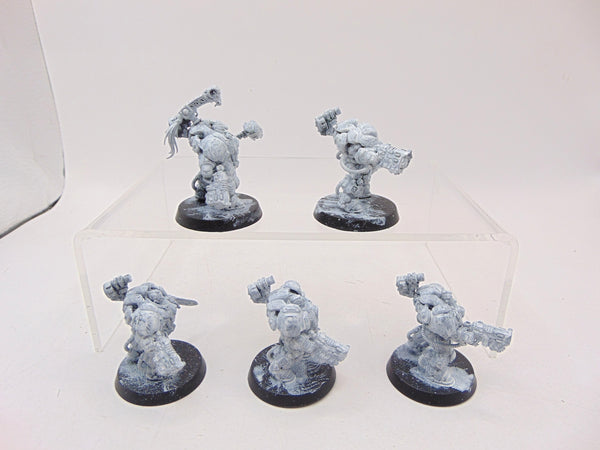 Einhyr Hearthguard