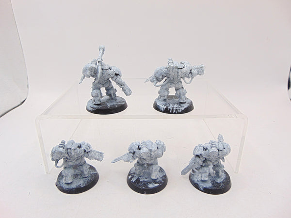 Einhyr Hearthguard