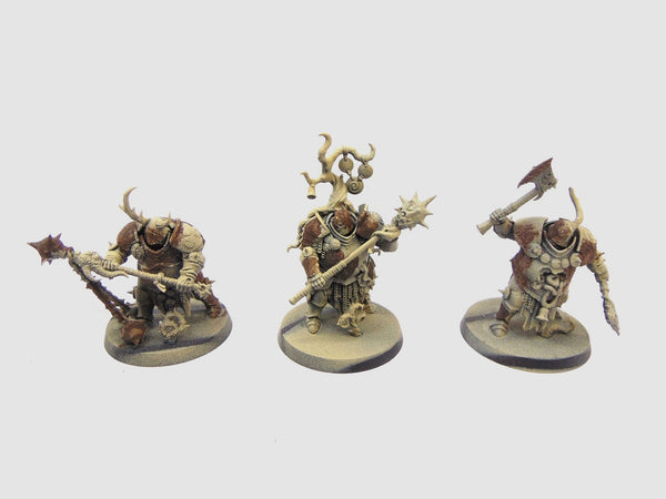 Blight Templars