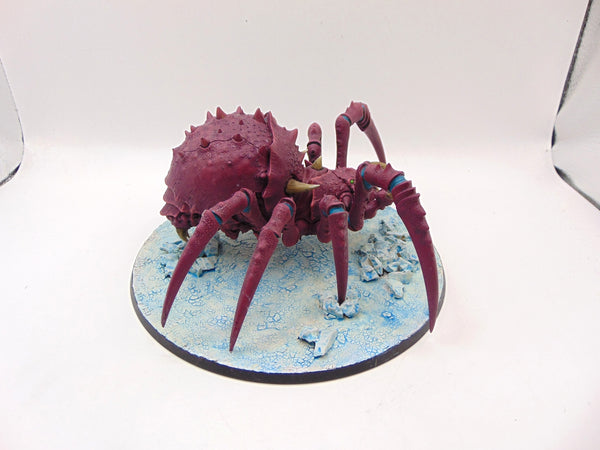 Skitterstrand Arachnarok