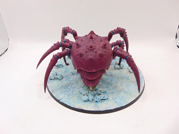 Skitterstrand Arachnarok