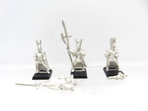 Phoenix Guard Command