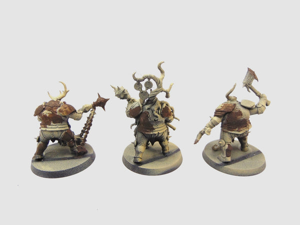 Blight Templars