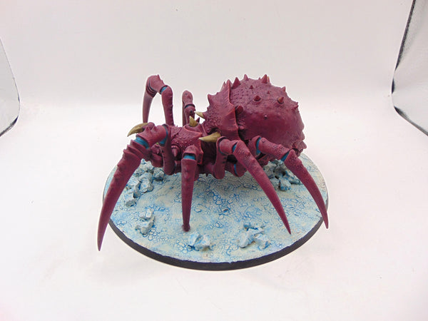 Skitterstrand Arachnarok