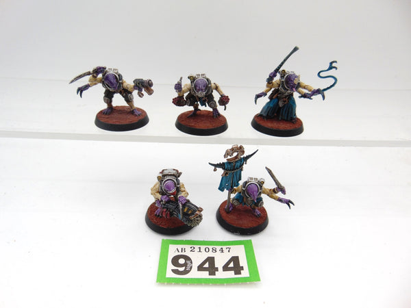 Acolyte Hybrids