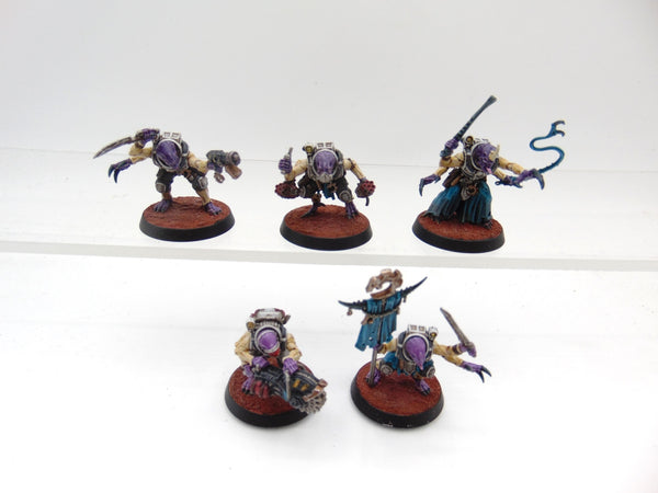 Acolyte Hybrids