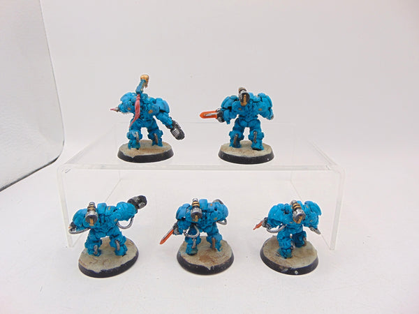 Einhyr Hearthguard