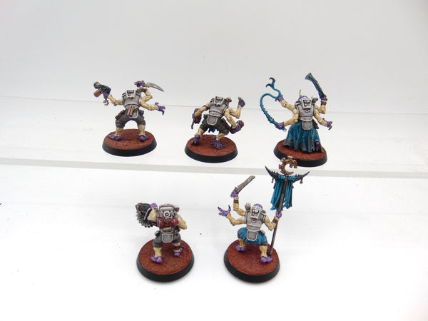 Acolyte Hybrids