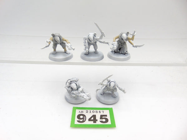 Acolyte Hybrids