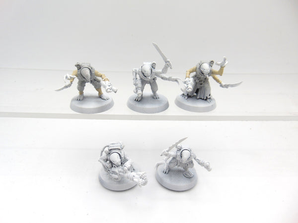 Acolyte Hybrids