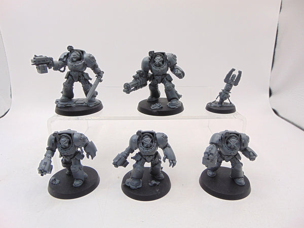 Terminator Squad