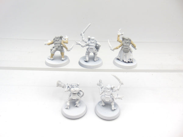 Acolyte Hybrids