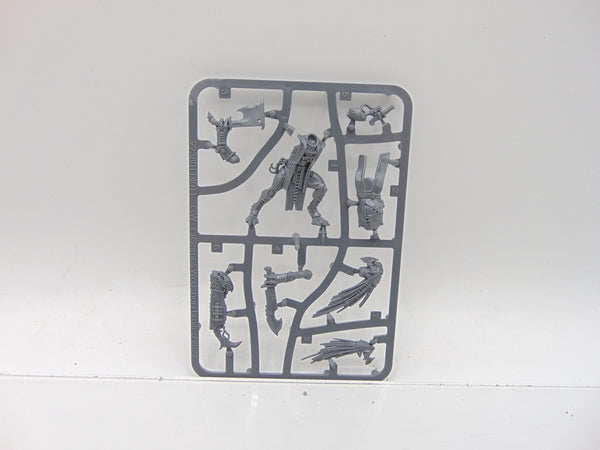 Kroot Flesh Shaper