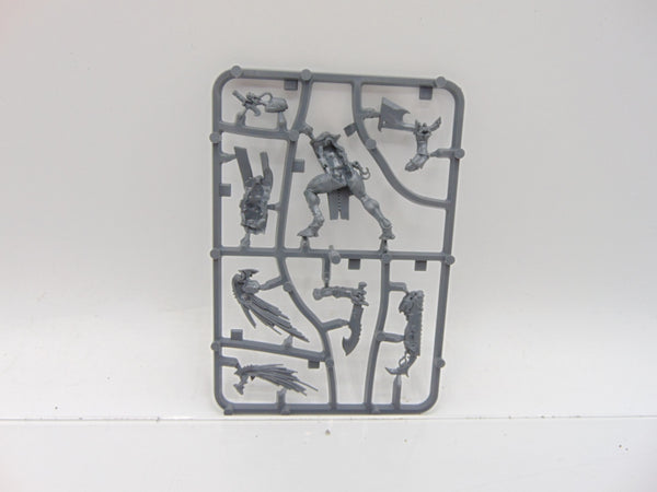 Kroot Flesh Shaper
