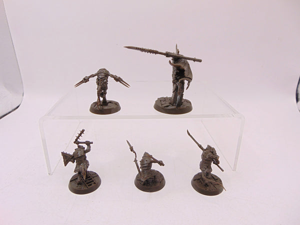 Spiteclaw's Swarm