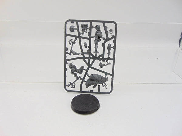 Knight Zephyros / Neave Blacktalon